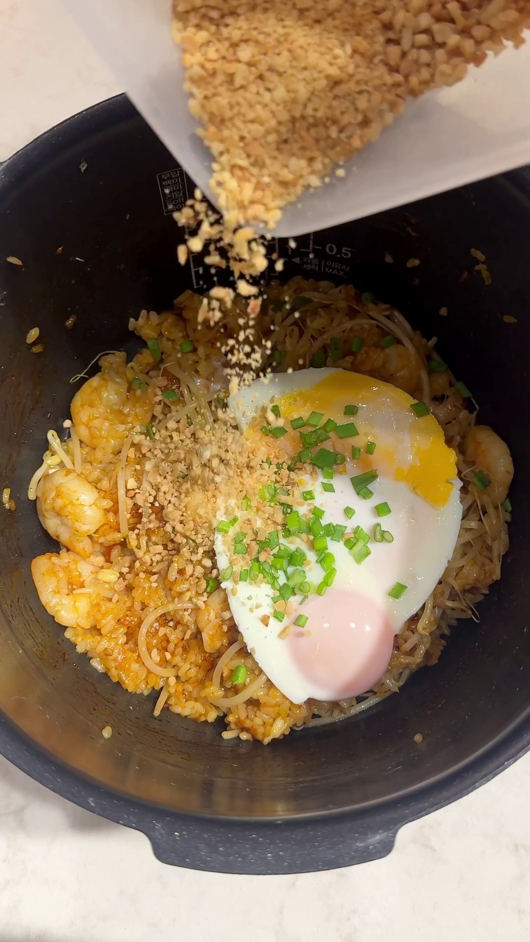 Nasi goreng with shrimp, fried egg, and crushed peanuts in a rice cooker