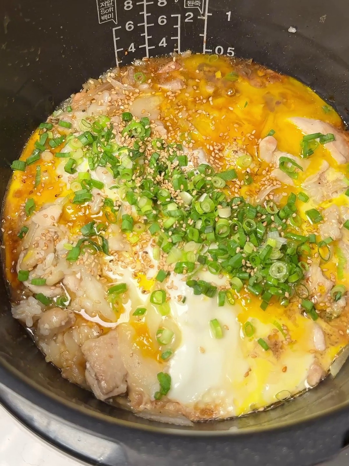 Oyakodon rice bowl with saucy chicken, egg, and scallions
